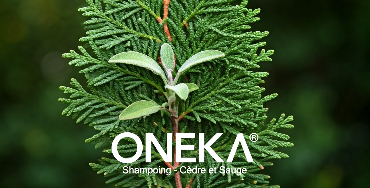 Shampoing Oneka - Cèdre et sauge