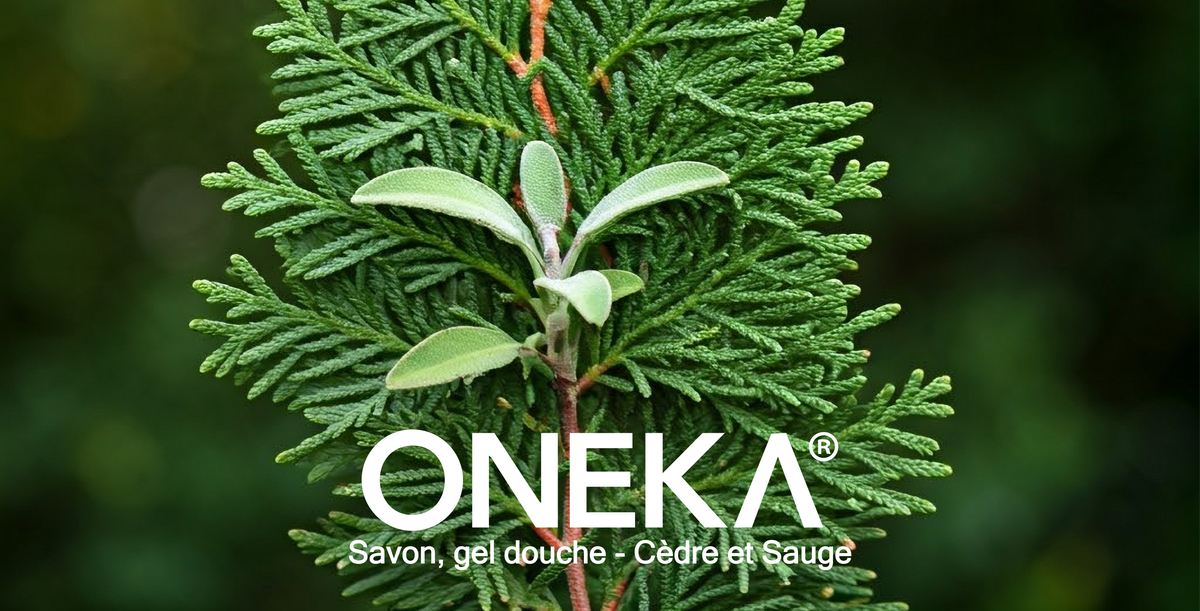Savon Oneka - Cèdre et sauge